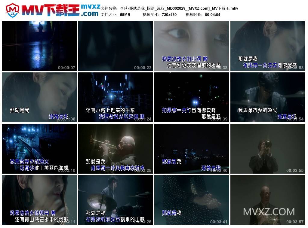 李琦-那就是我_国语_流行_MD302829